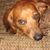 Karen Lea's profile image