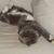 Melinda Jones Moore's profile image