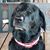 Mindee Rouse's profile image