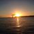 Patti Rossiter-Brewster's profile image