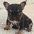 Melanie Mathis Curtis's profile image