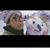 Alysia Maxwell's profile image