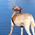 Moran Susanne's profile image
