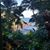Joni DeSchane's profile image