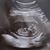 Jennifer Carr Allen's profile image