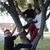 Rachel N. Orona's profile image