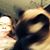 Kris Ermis's profile image