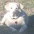 Tina Moore's profile image