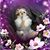 Susan Figiel Kusina's profile image