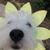 Patice Yee Green's profile image