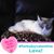 Brenda Merrell's profile image