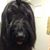 Clara Brubaker's profile image