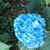 Martha Stox's profile image