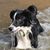 Marie Delamain Davis's profile image