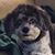 Sandra Michaels's profile image