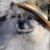 Denise Karns's profile image