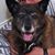Krista Hidalgo Ruiz's profile image