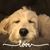 Bruce Nikki Fulton's profile image