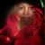 Inetta Black's profile image