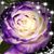 Barbara Brown Mattheis's profile image