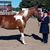 Carrie Buday's profile image