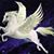 Paula Tibbetts's profile image