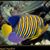 Michael Frumkin's profile image