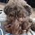 Mim King's profile image