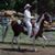Karen Nelson's profile image