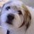 Vicki Cook's profile image