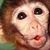 Steven Rand's profile image
