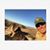 Ron Scott's profile image