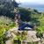 Anna Pryscilla Rocha's profile image