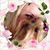 Amy Gott Blunt's profile image