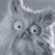 Petri-Pooper Serrano's profile image