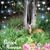 Cori Lynn Oswalt Taylor's profile image