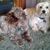 Connie Giunta's profile image