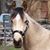 Polly Hixson's profile image