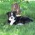 Julie Sauter's profile image