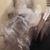 Viv Sunderland's profile image
