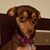 Patti Hoffman's profile image