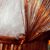 Sally Eyring's profile image