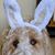 Mary Wieser Cajigas's profile image