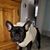 Annie M Baker's profile image