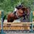 Kimberly Guessford's profile image