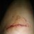 Vicki Schneider's profile image