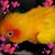 Collise Elliott Rodriguez's profile image