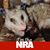 Bill Cox's profile image