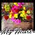 Rita Payne's profile image