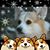 Darlene Hennessy's profile image
